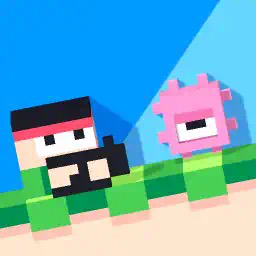 Recoil cover