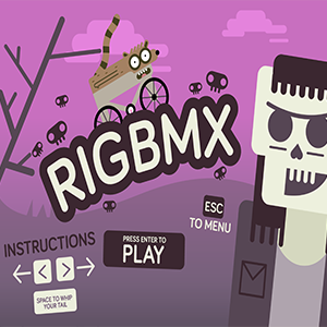 RigBMX cover