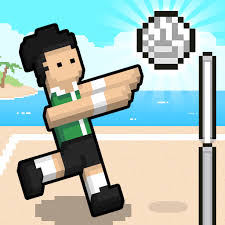 Volley Random cover